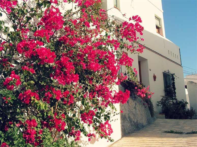 Jardines Del Mar Salobrena Apartment Exterior foto